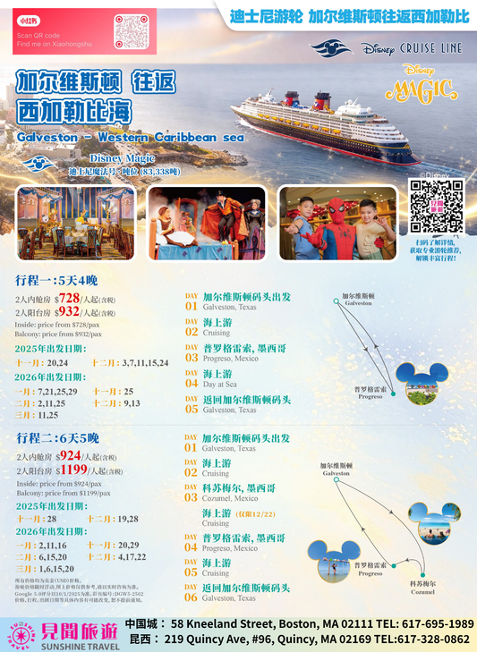 Galveston Round-Trip Western Caribbean Disney Cruise (5 Days 4 Nights / 6 Days 5 Nights)