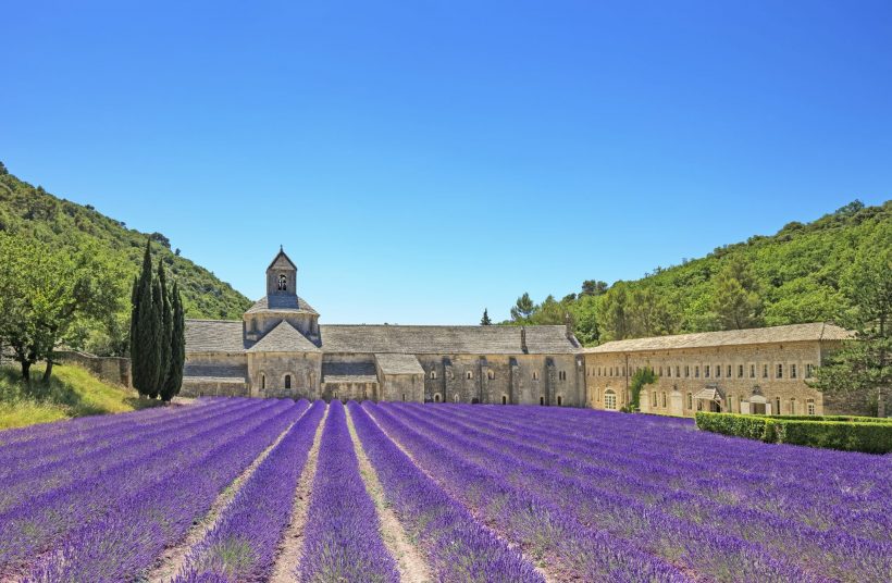 Abbey of Senanque and blooming rows lavender flowers. Gordes, Luberon, Vaucluse, Provence, France, Europe.