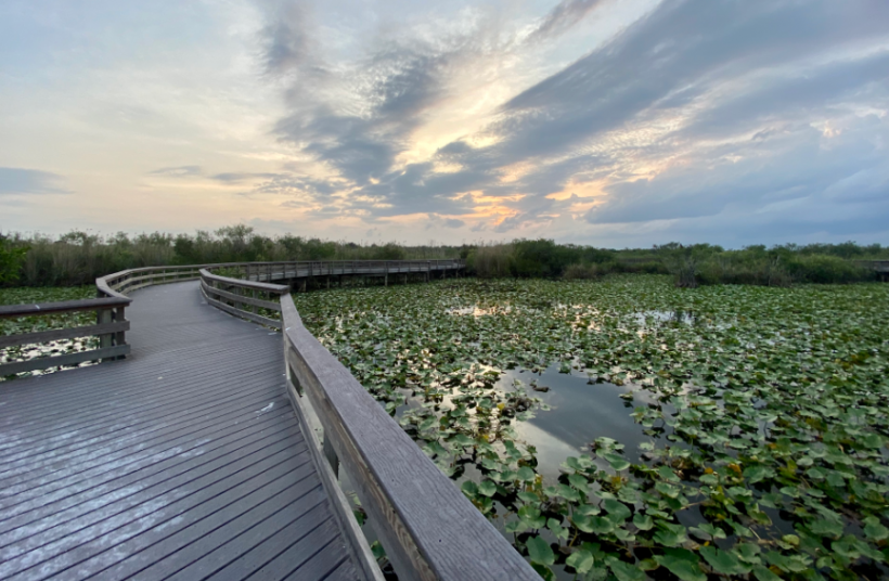 Everglade national park